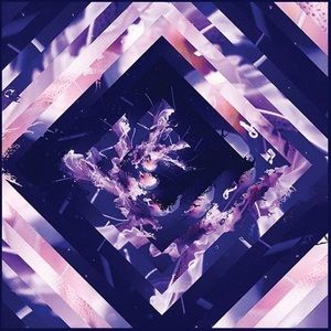 Meet your Posher, Nickolas